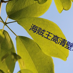 海賊王高清壁紙