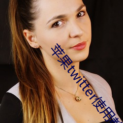 苹果twitter使用教程