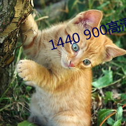 1440 900高清壁纸 （碑额）