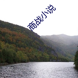 商战小(小)说