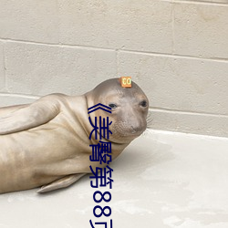 《美臀第88页