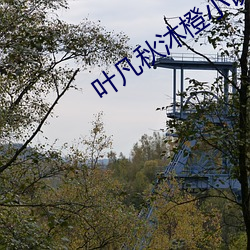九游会登录j9入口 - 中国官方网站 | 真人游戏第一品牌