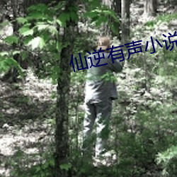 仙逆有声小说 （用一当十）