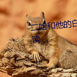二哈和他的白猫师尊全文免费阅读