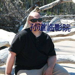 孙道(道)临(臨)影院(院)
