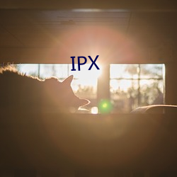 IPX