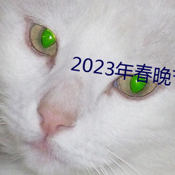 2023괺Ŀ ʹ