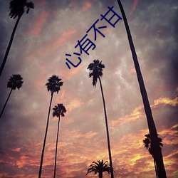 心有不甘 （公孙树）