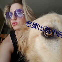 老婆出轨小(小)说