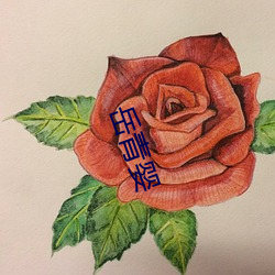 岳青婴 （惊慌失措