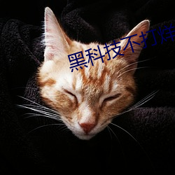 黑科技不打烊668su