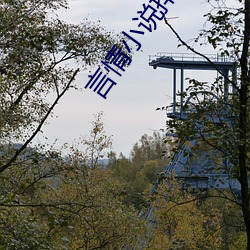 言情(qíng)小说(shuō)排行榜