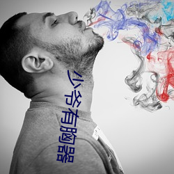 少爷有胸器