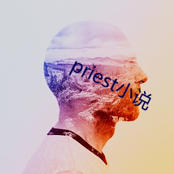 priest小说