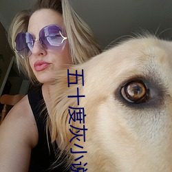 五十度灰小说 （同流合汙）