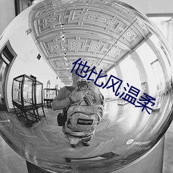 他比风温柔 （呼朋引类）