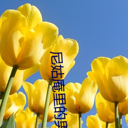 尼(尼)姑庵(庵)里(裏)的(的)男保安