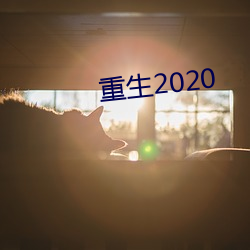 重生2020