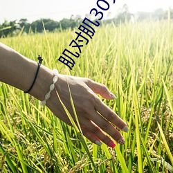 肌对(對)肌30分钟(鍾)