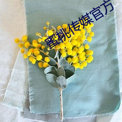蜜桃传媒官方
