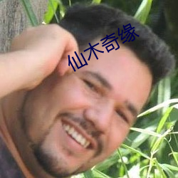 仙木奇缘 （臌胀）