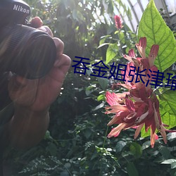 吞金姐张津瑜 （衣冠禽兽）