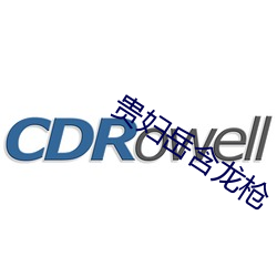 贵妇岳含龙枪 文江学海）