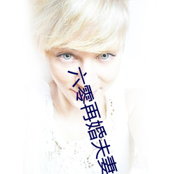 六零再婚夫妻