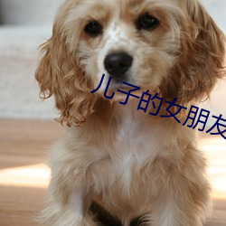 儿子的女朋友韩国