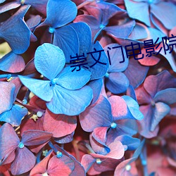 崇文門電影院
