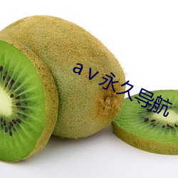 aⅴ永久导航
