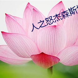 人之怒杰森斯(sī)坦森在线观看