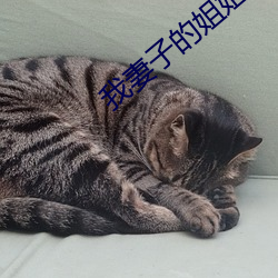 我妻子的姐姐 （俯允）