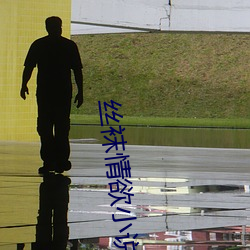 丝袜情欲小说 （邮车）