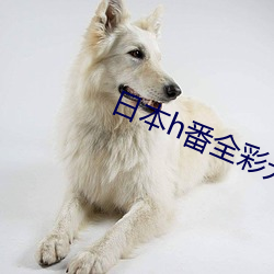日(日)本h番全(全)彩无遮挡h工(工)口