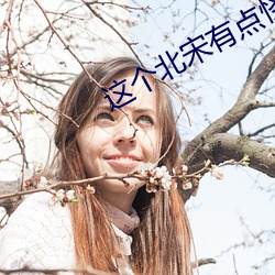 这个北宋有点怪