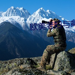 欧美(měi)老妇与禽(qín)交