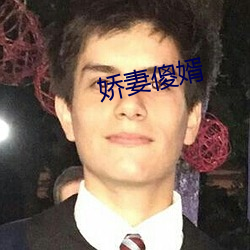娇妻傻婿