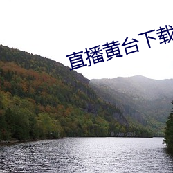 直播黄台下载