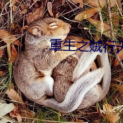 重生之贼行天下txt下载