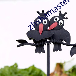 zhxhamaster （救过不暇）