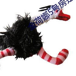 金荷娜(娜)5号房是啥(啥)