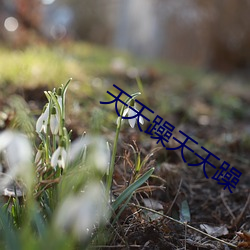天天(tiān)躁(zào)天天躁