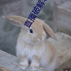 直播(bō)破(pò)解软件