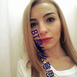 BT是什么意思