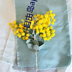 自由岛app破解(解)版iOS