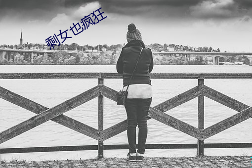 剩女也疯狂 （随俗）