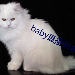 baby直播966tv软件下载