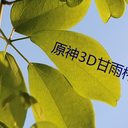 原神3D甘雨榨汁机