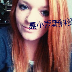 聂小雨黑料资源入口网站